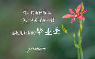 梅州酒店高薪招聘无中介+日结万元认知+颜值+愿力+时间+人脉+资源=实力（梅州酒店诚意招募：日结万元，无中介干扰，全面考量认知、颜值