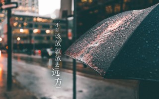 《电饭煲版超级下饭的干煸鸡，无油无水超美味》